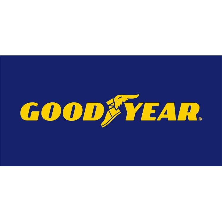 Μεταχειρισμένα Ελαστικά Goodyear 185/55/15 EFFICIENT GRIP 82H