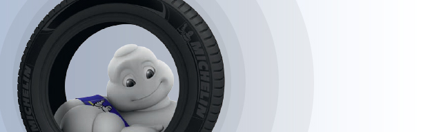 MICHELIN