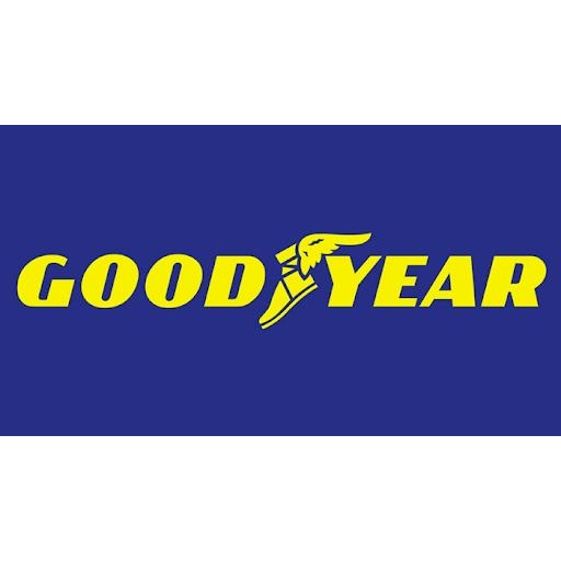 Μεταχειρισμένα Ελαστικά Goodyear 215/60/16 WRANGLER HP 95H M+S