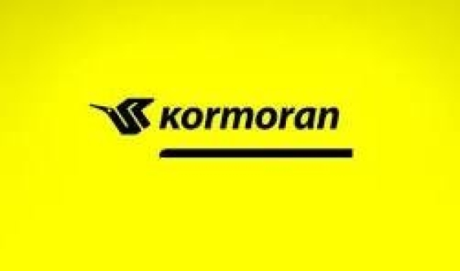 used-tyres-kormoran-215-60-16-cama-99h-xl-for-suv